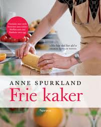 Her kan du kjøpe boken!