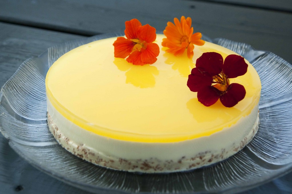 Pannacottakake med appelsin og kardemomme
